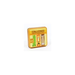 Conjudingo CE1 7 Conjudingo CE1 -Jeux De Cartes Pour Enfants conjudingo ce1 3