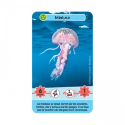 Défis Nature Junior : Merveilles De La Mer 8 Défis Nature Junior : Merveilles De La Mer -Jeux De Cartes Pour Enfants defis nature junior merveilles de la mer 2