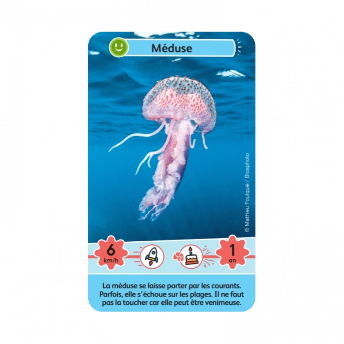 Défis Nature Junior : Merveilles De La Mer 3 Défis Nature Junior : Merveilles De La Mer – Image 3