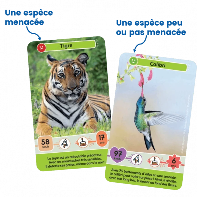 Défis Nature Junior : Mystères De La Jungle 2 Défis Nature Junior : Mystères De La Jungle – Image 2