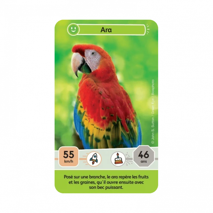 Défis Nature Junior : Mystères De La Jungle 3 Défis Nature Junior : Mystères De La Jungle – Image 3