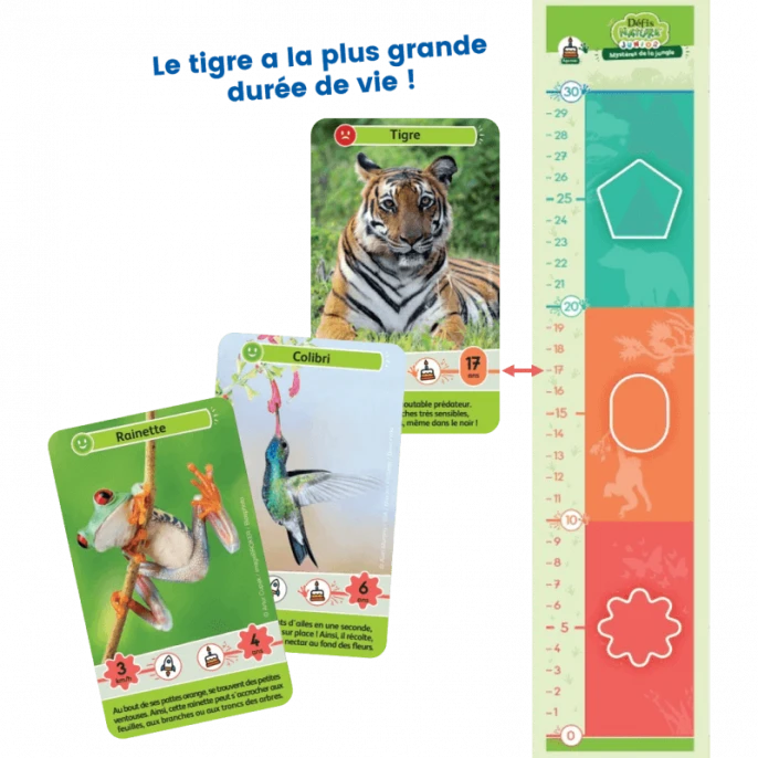 Défis Nature Junior : Mystères De La Jungle 5 Défis Nature Junior : Mystères De La Jungle – Image 5