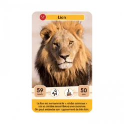 Défis Nature Junior : Rois De La Savane -Jeux De Cartes Pour Enfants defis nature junior rois de la savane 2