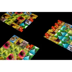 Ecosystème : Forêt -Jeux De Cartes Pour Enfants ecosystem 3