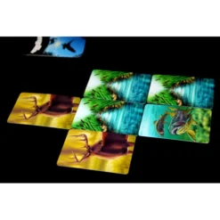 Ecosystème : Forêt -Jeux De Cartes Pour Enfants ecosystem 4