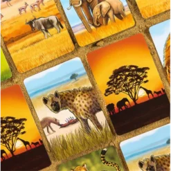 Ecosystème : Savane 7 Ecosystème : Savane -Jeux De Cartes Pour Enfants ecosysteme savane 3