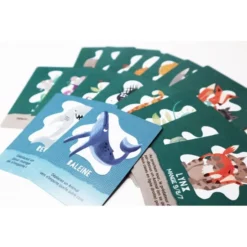 L'Île Des Prédateurs -Jeux De Cartes Pour Enfants l ile des predateurs 4