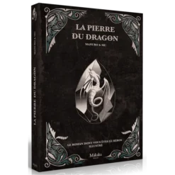 La Pierre Du Dragon : Le Roman Illustré Dont Vous êtes Le Héros