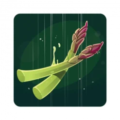 Sandwich MasterClass -Jeux De Cartes Pour Enfants sandwich masterclass 12